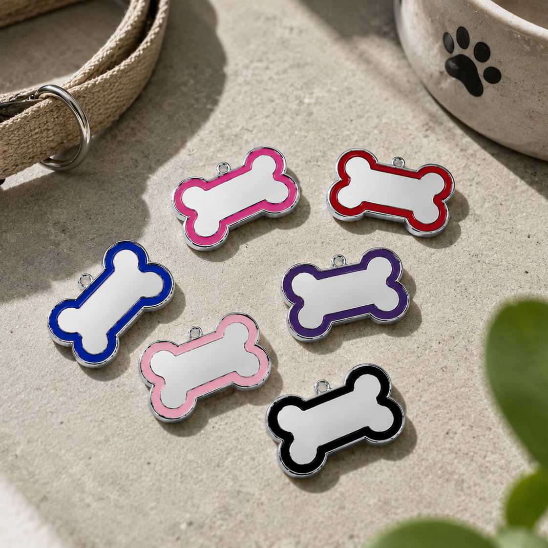 Colourful Outlined Bone - Large