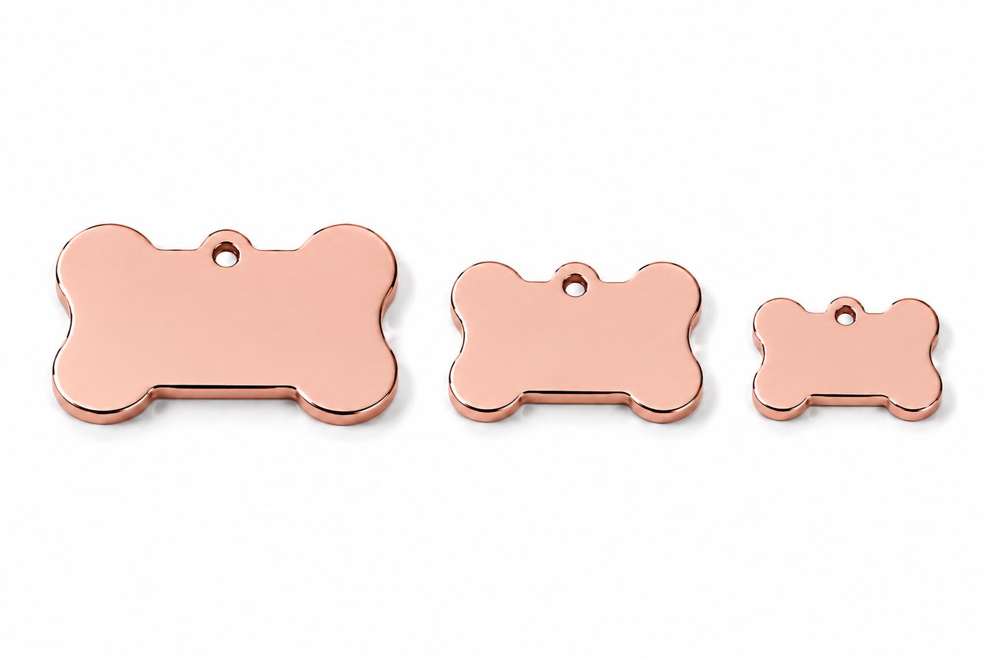 Adventure Lovers Pet Tag